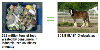Consumers in industrialized nations waste food equal to the weight of 201,818,181 Clydesdales