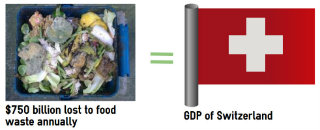 Global economic loss to food waste equals Switzerland's GDP