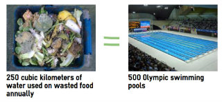 Enough water is used to grow food waste each year to fill 500 Olympic swimming pools