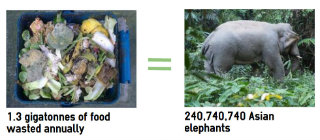 Global food waste is the weight of 240,740,740 Asian elephants