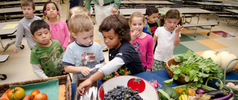 Students select school lunch from a table that displays fruits and vegetables in an enticing way