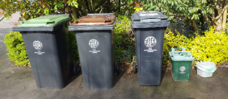 Rubbish bins lined up in driveway, including recycling, yard waste, trash, curbside compost, and kitchen compost