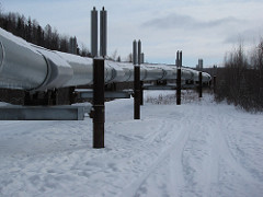 Trans-Alaska pipeline running through snowy forest