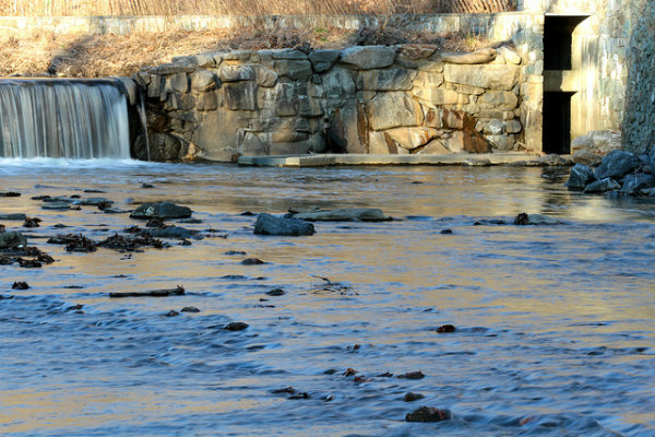 fish ladder at rock creek